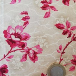 Fleurs roses 9136