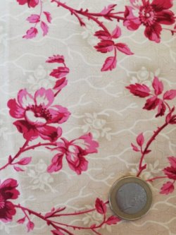 Fleurs roses 9136