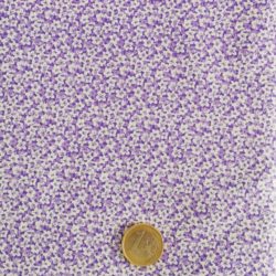 Fleurs violettes et blanches 2663