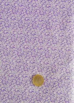 Fleurs violettes et blanches 2663
