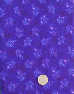 Feuilles violettes 5237
