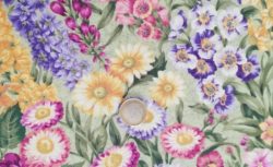 Champs de fleurs 6838