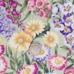 Champs de fleurs 6838