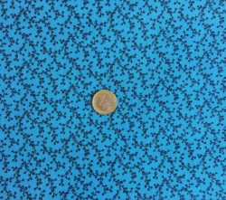 Lierre noir sur fond bleu 2168