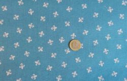 Lys sur fond bleu 4995