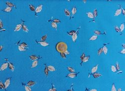Plumes Bleues 6487