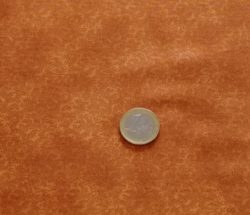 Focus marron 10064