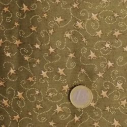 Etoile verte 10545