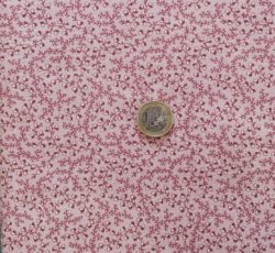 Glands roses type ancien 5596