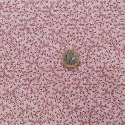Glands roses type ancien 5596