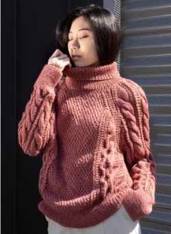Pull raglan à torsades ajourées en Image – Image 3