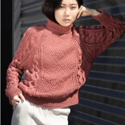 Pull raglan à torsades ajourées en Image