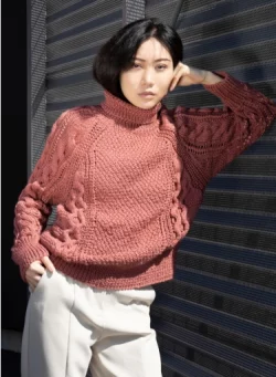 Pull raglan à torsades ajourées en Image