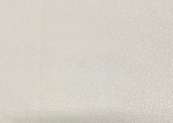 Fleurs blanches 11832