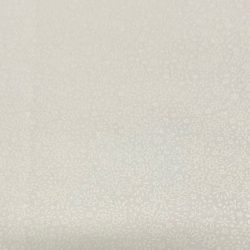 Fleurs blanches 11832