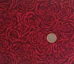 Roses 6746
