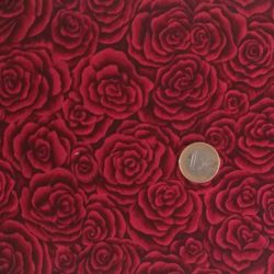 Roses 6746