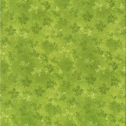 Printemps Anis 11627
