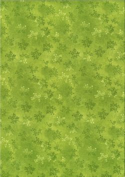 Printemps Anis 11627