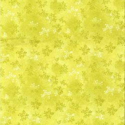 Printemps Jaune vert 11634