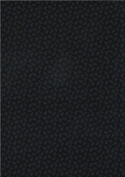 Feuilles noires 11924