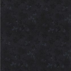 Printemps Noir 11962