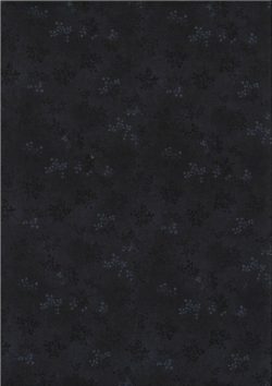 Printemps Noir 11962