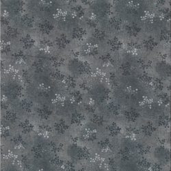 Printemps Gris 11979