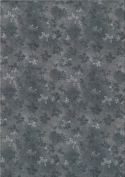 Printemps Gris 11979