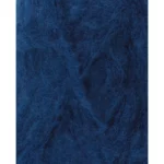 Naval