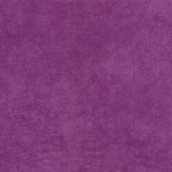 Shadow Violet de Maywood 12587