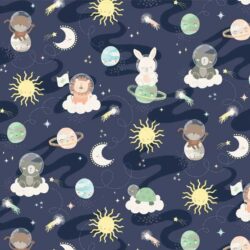 Astronautes 12839