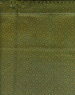 Kathy Hall green 9785