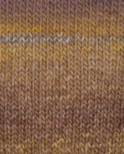 Phil Colorful – Image 4