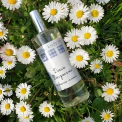 Coffret Balade Alsacienne
