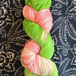 Echeveaux Laine à chaussettes Vert/rose Merino